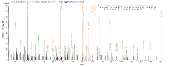 Based on the SEQUEST from database of E.coli host and target protein, the LC-MS/MS Analysis result of CSB-EP359086ENV could indicate that this peptide derived from E.coli-expressed Escherichia coli (strain K12) talB.