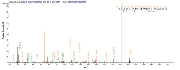 Based on the SEQUEST from database of E.coli host and target protein, the LC-MS/MS Analysis result of CSB-EP360183ENV could indicate that this peptide derived from E.coli-expressed Escherichia coli (strain K12) malE.