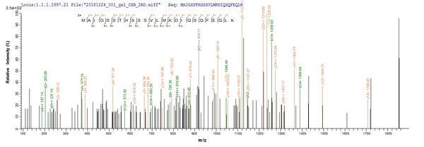 Based on the SEQUEST from database of E.coli host and target protein, the LC-MS/MS Analysis result of CSB-EP362296IJZ could indicate that this peptide derived from E.coli-expressed Influenza B virus (strain B/Yamagata/1/1973) NS.