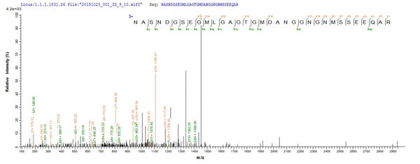 Based on the SEQUEST from database of E.coli host and target protein, the LC-MS/MS Analysis result of CSB-EP364257ENV could indicate that this peptide derived from E.coli-expressed Escherichia coli (strain K12) pal.