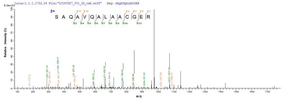 Based on the SEQUEST from database of E.coli host and target protein, the LC-MS/MS Analysis result of CSB-EP364758SZB could indicate that this peptide derived from E.coli-expressed Shigella flexneri grxD.