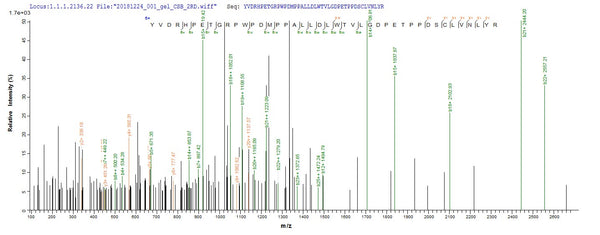 Based on the SEQUEST from database of E.coli host and target protein, the LC-MS/MS Analysis result of CSB-EP489400DQP could indicate that this peptide derived from E.coli-expressed Caulobacter vibrioides (strain NA1000 / CB15N) (Caulobacter crescentus) alkB.