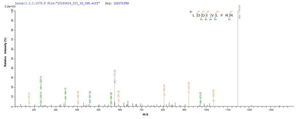 Based on the SEQUEST from database of E.coli host and target protein, the LC-MS/MS Analysis result of CSB-EP517681TQY could indicate that this peptide derived from E.coli-expressed Trypanosoma cruzi HSP100.