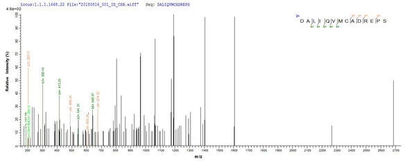 Based on the SEQUEST from database of E.coli host and target protein, the LC-MS/MS Analysis result of CSB-EP528172TPR1 could indicate that this peptide derived from E.coli-expressed Treponema pallidum (strain Nichols) TP_0608.
