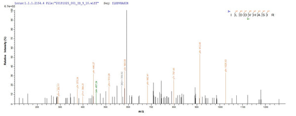Based on the SEQUEST from database of E.coli host and target protein, the LC-MS/MS Analysis result of CSB-EP538512HTL could indicate that this peptide derived from E.coli-expressed Halobacterium salinarum (strain ATCC 29341 / DSM 671 / R1) btuD.