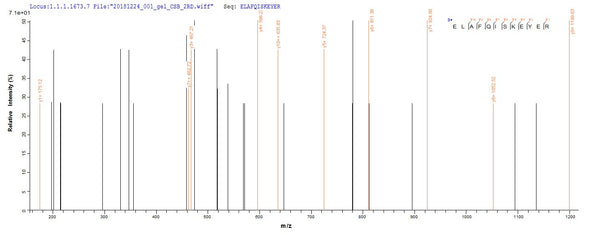 Based on the SEQUEST from database of E.coli host and target protein, the LC-MS/MS Analysis result of CSB-EP615720HU1 could indicate that this peptide derived from E.coli-expressed Homo sapiens (Human) DDX39B.
