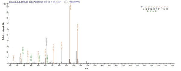 Based on the SEQUEST from database of E.coli host and target protein, the LC-MS/MS Analysis result of CSB-EP653424SGF could indicate that this peptide derived from E.coli-expressed Shigella dysenteriae serotype 1 (strain Sd197) stxB.