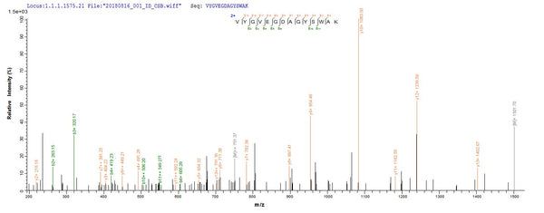 Based on the SEQUEST from database of E.coli host and target protein, the LC-MS/MS Analysis result of CSB-EP670430BWS could indicate that this peptide derived from E.coli-expressed Brucella abortus biovar 1 (strain 9-941) omp25.