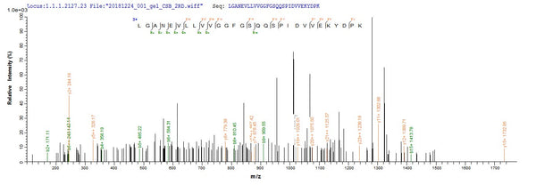 Based on the SEQUEST from database of E.coli host and target protein, the LC-MS/MS Analysis result of CSB-EP700650HU could indicate that this peptide derived from E.coli-expressed Homo sapiens (Human) KLHL12.