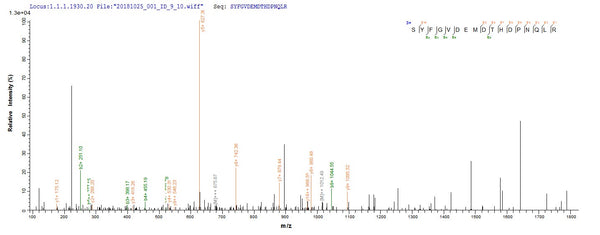 Based on the SEQUEST from database of E.coli host and target protein, the LC-MS/MS Analysis result of CSB-EP806800VBF could indicate that this peptide derived from E.coli-expressed Vesicular stomatitis Indiana virus (strain 98COE North America) (VSIV) M.