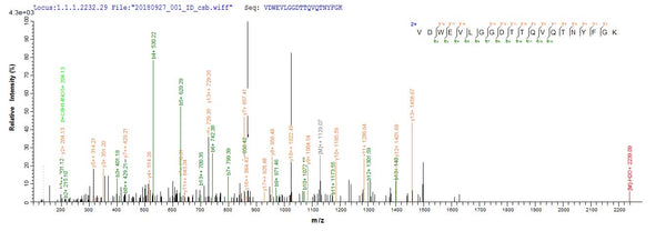 Based on the SEQUEST from database of E.coli host and target protein, the LC-MS/MS Analysis result of CSB-EP818279NGS1 could indicate that this peptide derived from E.coli-expressed Neosartorya fumigata (strain ATCC MYA-4609 / Af293 / CBS 101355 / FGSC A1100) (Aspergillus fumigatus) crf1.
