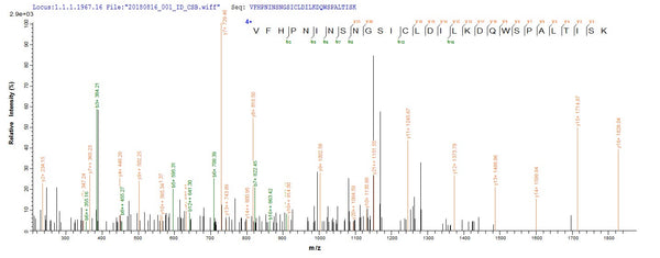 Based on the SEQUEST from database of E.coli host and target protein, the LC-MS/MS Analysis result of CSB-EP848293OFG could indicate that this peptide derived from E.coli-expressed Oryza sativa subsp. japonica (Rice) UBC5A.