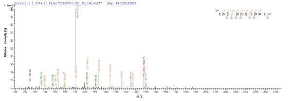 Based on the SEQUEST from database of E.coli host and target protein, the LC-MS/MS Analysis result of CSB-EP855061HU1 could indicate that this peptide derived from E.coli-expressed Homo sapiens (Human) RB1CC1.