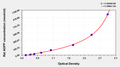 Rat advanced oxidation protein products(AOPP) ELISA kit