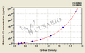 Rabbit interleukin 12 (IL-12/P70) ELISA kit