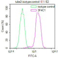 Overlay Peak curve showing Hela cells stained with CSB-MA010418PA28ph01HU (red line) at 1:100. The cells were incubated in 10% normal goat serum to block non-specific protein-protein interactions followed by the antibody (1µg/1*106cells) for 1h at 4°C. The secondary antibody used was FITC-conjugated Goat Anti-Mouse IgG(H+L) at 1/100 dilution for 30min at 4°C. Isotype control antibody (green line) was mouse IgG1 (1µg/1*106cells) used under the same conditions. Acquisition of >10,000 events was performed.