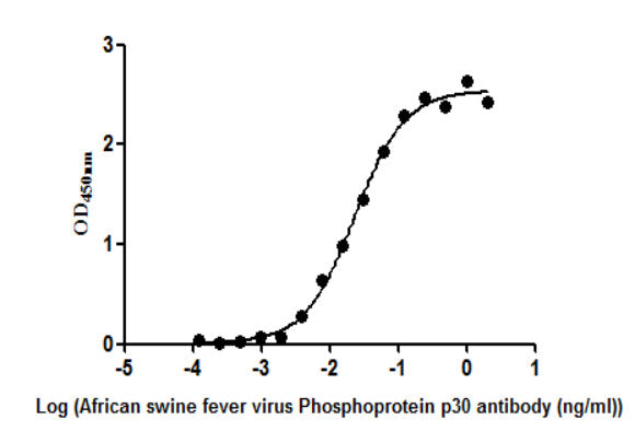 The Binding Activity of  African swine fever virus Phosphoprotein p30(Ba71V-93). Activity: Measured by its binding ability in a functional ELISA. Immobilized African swine fever virus Phosphoprotein p30(Ba71V-93) protein at 2 μg/ml can bind African swine fever virus Phosphoprotein p30(Ba71V-93) Antibody, the EC<sub>50</sub> is 0.01949 to 0.02692 ug/ml.
