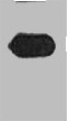 Western blot analysis of mOrange recombinant protein, diluted at 1:5000.