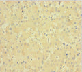 F11 Antibody, FITC conjugated – Figure 1 of 1