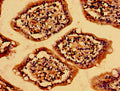 Immunohistochemistry of paraffin-embedded human small intestine tissue using CSB-PA013561LA01HU at dilution of 1:100