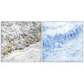 Immunohistochemistry analysis of paraffin-embedded human colon carcinoma tissue using GCHFR antibody.
