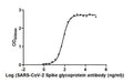 The Binding Activity of SARS-CoV-2-S Antibody with SARS-CoV-2-S1-RBDActivity: Measured by its binding ability in a functional ELISA. Immobilized SARS-CoV-2-S1-RBD (CSB-YP3324GMY1) at 2 ug/ml can bind SARS-CoV-2-S Antibody, the EC<sub>50</sub> is 61.89 to 75.70 ng/ml.