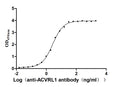 ACVRL1 Recombinant Monoclonal Antibody – Figure 1 of 2