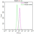 Overlay Peak curve showing Hela cells stained with CSB-RA001273MA1HU (red line) at 1:400. The cells were fixed in 4% formaldehyde (15min) and permeated by 0.2% TritonX-100 for 10min. Then 10% normal goat serum was Incubated to block non-specific protein-protein interactions followed by the antibody (1µg/1*10 6 cells) for 45 min at 4°C. The secondary antibody used was FITC-conjugated Goat Anti-Mouse IgG(H+L) at 1/200 dilution for 35 min at 4°C.