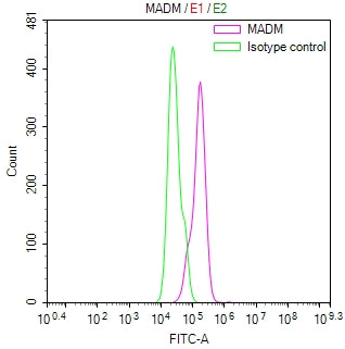 Overlay Peak curve showing Hela cells stained with CSB-RA001273MA1HU (red line) at 1:400. The cells were fixed in 4% formaldehyde (15min) and permeated by 0.2% TritonX-100 for 10min. Then 10% normal goat serum was Incubated to block non-specific protein-protein interactions followed by the antibody (1µg/1*10 6 cells) for 45 min at 4°C. The secondary antibody used was FITC-conjugated Goat Anti-Mouse IgG(H+L) at 1/200 dilution for 35 min at 4°C.