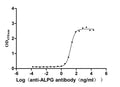 The Binding Activity of Human ALPG with Anti-ALPG Recombinant AntibodyActivity: Measured by its binding ability in a functional ELISA. Immobilized Human ALPG (CSB-MP001633HU) at 2 μg/mL can bind Anti-ALPG recombinant antibody , the EC<sub>50</sub> is 14.09-23.17 ng/mL.