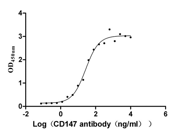 The Binding Activity of CD147 with Anti-CD147 recombinant AntibodyActivity: Measured by its binding ability in a functional ELISA. Immobilized Human CD147 (CSB-MP002831HU1) at 2 μg/ml can bind Anti-CD147 recombinant Antibody, the EC<sub>50</sub> is 21.95-33.12 ng/ml.