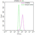 Overlay Peak curve showing Hela cells surface stained with CSB-RA003995MA1HU (red line) at 1:800. Then 10% normal goat serum was Incubated to block non-specific protein-protein interactions followed by the antibody (1µg/1*10 6 cells) for 45 min at 4°C. The secondary antibody used was FITC-conjugated Goat Anti-Mouse IgG(H+L) at 1/200 dilution for 35 min at 4°C. Isotype control antibody (green line) was mouse IgG1 (1µg/1*10 6 cells) used under the same conditions. Acquisition of >10, 021 events was performed.