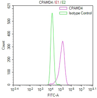 Overlay Peak curve showing Hela cells surface stained with CSB-RA003995MA1HU (red line) at 1:800. Then 10% normal goat serum was Incubated to block non-specific protein-protein interactions followed by the antibody (1µg/1*10 6 cells) for 45 min at 4°C. The secondary antibody used was FITC-conjugated Goat Anti-Mouse IgG(H+L) at 1/200 dilution for 35 min at 4°C. Isotype control antibody (green line) was mouse IgG1 (1µg/1*10 6 cells) used under the same conditions. Acquisition of >10, 021 events was performed.