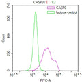 Overlay Peak curve showing HEK293T cells stained with CSB-RA004548MA1HU (red line) at 1:100. The cells were fixed in 4% formaldehyde and permeated by 0.2% TritonX-100 for 10min. Then 10% normal goat serum to block non-specific protein-protein interactions followed by the antibody (1ug/1*10 6 cells) for 45min at 4℃.