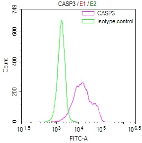 Overlay Peak curve showing HEK293T cells stained with CSB-RA004548MA1HU (red line) at 1:100. The cells were fixed in 4% formaldehyde and permeated by 0.2% TritonX-100 for 10min. Then 10% normal goat serum to block non-specific protein-protein interactions followed by the antibody (1ug/1*10 6 cells) for 45min at 4℃.