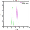Overlay Peak curve showing A549 cells stained with CSB-RA004775MA2HU (red line) at 1:100. The cells treated with IFNG 100 ng/ml for 48 h. The cells were fixed in 4% formaldehyde and permeated by 0.2% TritonX-100 for 10min. Then 10% normal goat serum to block non-specific protein-protein interactions followed by the antibody (1ug/1*10 6 cells) for 45min at 4℃.