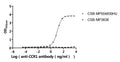The Binding Activity of Human CCR1 with Anti-CCR1 Recombinant antibodyActivity: Measured by its binding ability in a functional ELISA. Immobilized Human CCR1(CSB-MP004839HU) at 10 μg/mL can bind Anti-CCR1 recombinant antibody. The EC<sub>50</sub> is 9.690-10.94 ng/mL.
The VLPs (CSB-MP3838) is negative control.