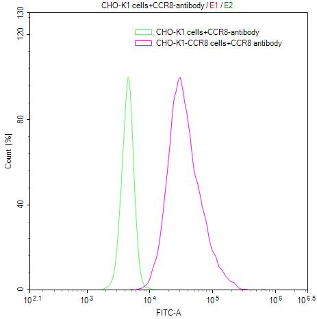 Untransfected CHO-K1 cells surface (green line) and transfected Human CCR8 CHO-K1 stable cells surface (red line) were stained with anti-CCR8 antibody (2µg/1*10<sup>6</sup>cells) , washed and then followed by FITC-conjugated anti-Human IgG Fc antibody and analyzed with flow cytometry.