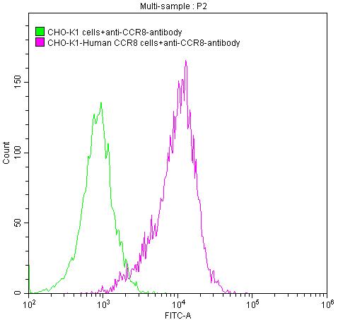 Untransfected CHO-K1 cells surface(green line) and transfected Human CCR8 CHO-K1 stable cells surface (red line) were stained with anti-CCR8 antibody (2µg/1*10<sup>6</sup>cells) , washed and then followed by FITC-conjugated anti-Human IgG Fc antibody and analyzed with flow cytometry.