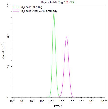 Raji cells were stained with Human Fc tagged protein(green line) and anti-CD19 antibody (CSB-RA004888MA3HU) (2µg/1*10<sup>6</sup>cells) (red line) , washed and then followed by FITC-conjugated anti-Human IgG Fc antibody and analyzed with flow cytometry.
