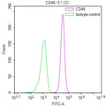 Overlay Peak curve showing HepG2 cells surface stained with CSB-RA004939MA1HU (red line) at 1:100. Then 10% normal goat serum to block non-specific protein-protein interactions followed by the antibody (1ug/1*10 6 cells) for 45min at 4℃. The secondary antibody used was Fluorescein (FITC) AffiniPure Goat Anti-Human IgG, Fcγ fragment specific at 1:200 dilution for 35min at 4℃.Control antibody (green line) was human IgG1 (1ug/1*10 6 cells) used under the same conditions.