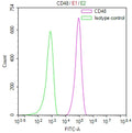 Overlay Peak curve showing Jurkat cells surface stained with CSB-RA004941MA1HU (red line) at 1:100. Then 10% normal goat serum to block non-specific protein-protein interactions followed by the antibody (1ug/1*10 6 cells) for 45min at 4℃. The secondary antibody used was Fluorescein (FITC) AffiniPure Goat Anti-Human IgG, Fcγ fragment specific at 1:200 dilution for 35min at 4℃.Control antibody (green line) was human IgG1 (1ug/1*10 6 cells) used under the same conditions.