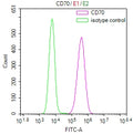 Overlay Peak curve showing Raji cells surface stained with CSB-RA004954MA2HU (red line) at 1:100. Then 10% normal goat serum to block non-specific protein-protein interactions followed by the antibody (1ug/1*10<sup>6</sup>cells) for 45min at 4℃. The secondary antibody used was FITC-conjugated Goat Anti-Mouse IgG(H+L) at 1:200 dilution for 35min at 4℃.Control antibody (green line) was mouse IgG2a (1ug/1*10<sup>6</sup>cells) used under the same conditions. Acquisition of >10,000 events was performed.