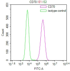 Overlay Peak curve showing Raji cells surface stained with CSB-RA004954MA2HU (red line) at 1:100. Then 10% normal goat serum to block non-specific protein-protein interactions followed by the antibody (1ug/1*10<sup>6</sup>cells) for 45min at 4℃. The secondary antibody used was FITC-conjugated Goat Anti-Mouse IgG(H+L) at 1:200 dilution for 35min at 4℃.Control antibody (green line) was mouse IgG2a (1ug/1*10<sup>6</sup>cells) used under the same conditions. Acquisition of >10,000 events was performed.