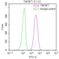 Overlay Peak curve showing 786-O cells surface stained with CSB-RA004954MA3HU (red line) at 1:100. Then 10% normal goat serum to block non-specific protein-protein interactions followed by the antibody (1ug/1*10<sup>6</sup>cells) for 45min at 4℃. The secondary antibody used was FITC-conjugated Goat Anti-Mouse IgG(H+L) at 1:200 dilution for 35min at 4℃.Control antibody (green line) was mouse IgG2a (1ug/1*10<sup>6</sup>cells) used under the same conditions. Acquisition of >10,000 events was performed.