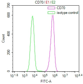 Overlay Peak curve showing Raji cells surface stained with CSB-RA004954MA4HU (red line) at 1:100. Then 10% normal goat serum to block non-specific protein-protein interactions followed by the antibody (1ug/1*10<sup>6</sup>cells) for 45min at 4℃. The secondary antibody used was FITC-conjugated Goat Anti-Mouse IgG(H+L) at 1:200 dilution for 35min at 4℃.Control antibody (green line) was mouse IgG2a (1ug/1*10<sup>6</sup>cells) used under the same conditions. Acquisition of >10,000 events was performed.