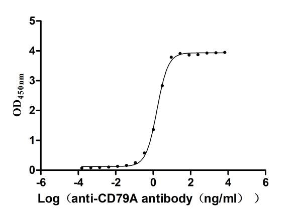 The Binding Activity of Human CD79A with Anti-CD79A recombinant antibodyActivity: Measured by its binding ability in a functional ELISA. Immobilized Human CD79A(CSB-MP004957HU1) at 2 μg/mL can bind Anti-CD79A recombinant antibody. The EC<sub>50</sub> is 1.521-1.700 ng/mL.