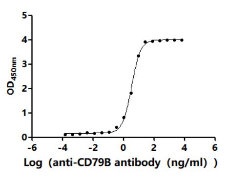 The Binding Activity of Human CD79B with Anti-CD79B recombinant antibodyActivity: Measured by its binding ability in a functional ELISA. Immobilized Human CD79A(CSB-MP004958HU1) at 2 μg/mL can bind Anti-CD79B recombinant antibody. The EC<sub>50</sub> is 3.214-3.642 ng/mL.