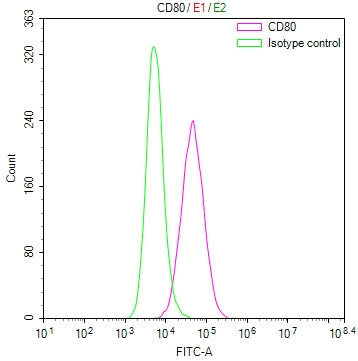 Overlay Peak curve showing Raji cells stained with CSB-RA004959MA1HU (red line) at 1:100. Then 10% normal goat serum to block non-specific protein-protein interactions followed by the antibody (1ug/1*10 6 cells) for 45min at 4℃. The secondary antibody used was Fluorescein (FITC) AffiniPure Goat Anti-Human IgG, Fcγ fragment specific at 1:200 dilution for 35min at 4℃.Control antibody (green line) was human IgG1 (1ug/1*10 6 cells) used under the same conditions. Acquisition of >10,000 events was performed.