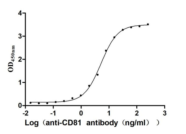 The Binding Activity of Human CD81 with Anti-CD81 recombinant antibodyActivity: Measured by its binding ability in a functional ELISA. Immobilized Human CD81(CSB-MP004960HUd7) at 2 μg/mL can bind Anti-CD81 recombinant antibody. the EC<sub>50</sub> is 4.166-5.578 ng/mL.